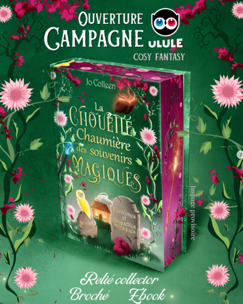 Couverture de La chouette chaumière des souvenirs magiques par Jo Colleen