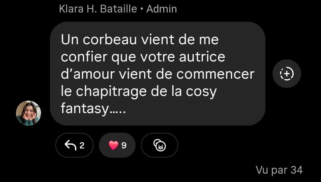Indice du projet Cosy fantasy de Klara H Bataille