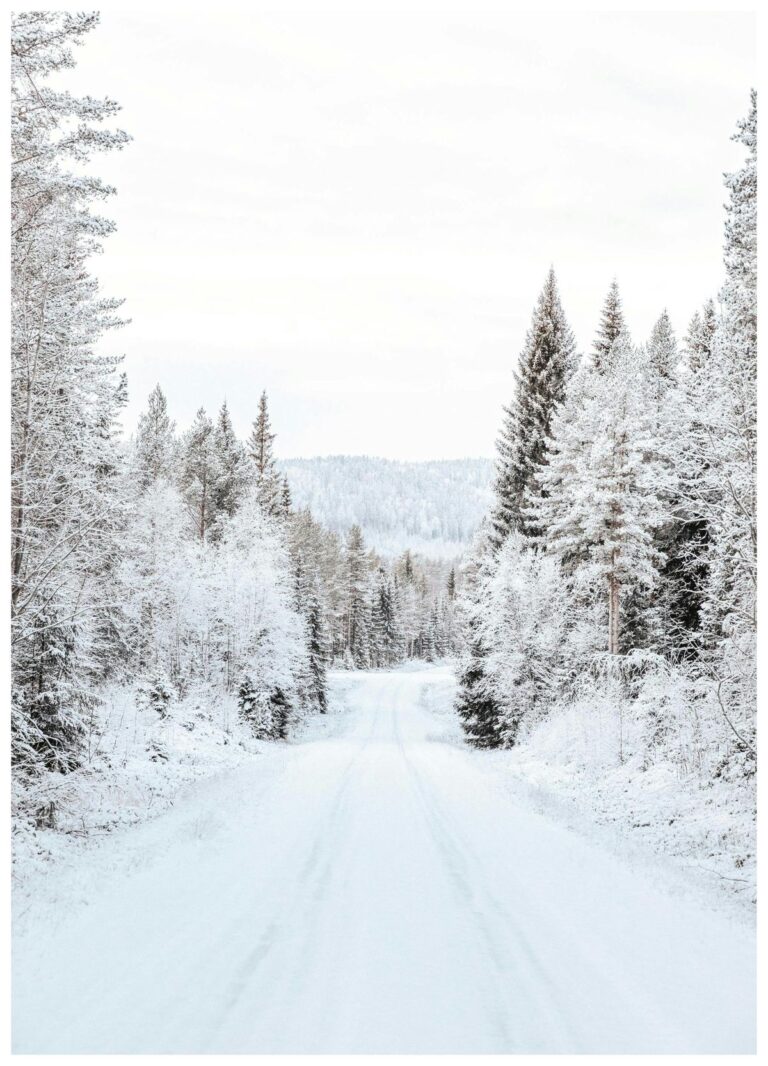 Visuel du projet Grimoire & ? saison hiver