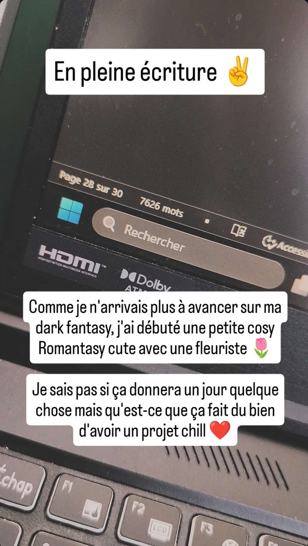 Indice du projet Lucille Chaponnay