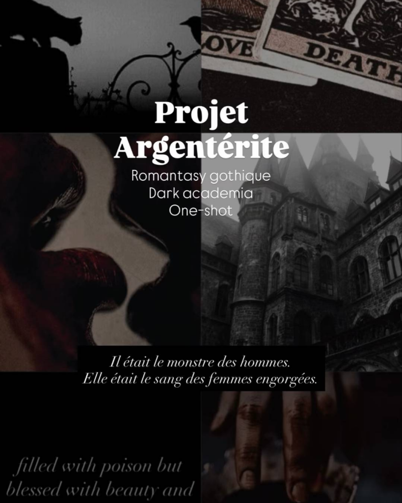 Visuel du projet Projet Argentérite par Nora Lane