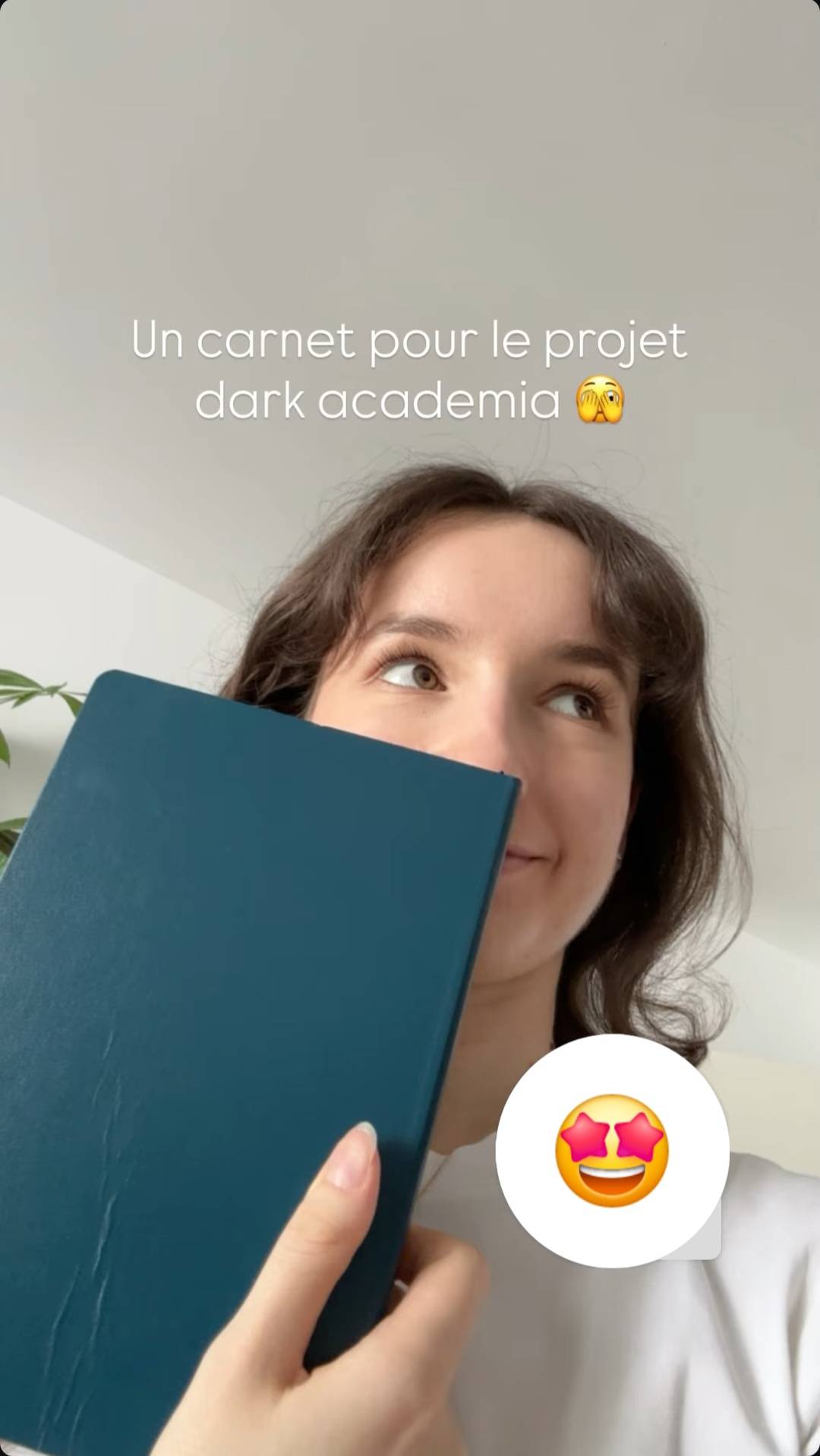 Indice du projet Projet Argentérite