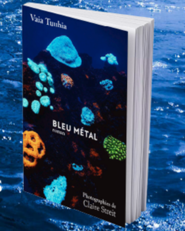 Couverture du livre Bleu métal