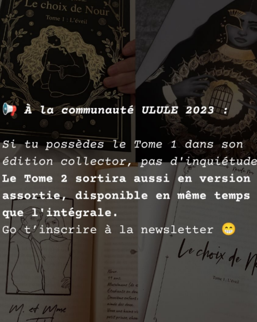 Visuel du projet Le Choix de Nour Intégrale Collector