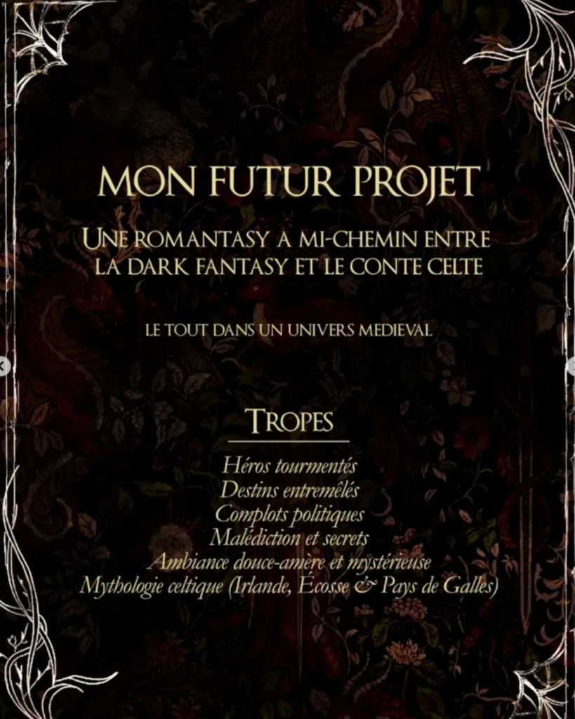 Visuel du projet Prochain roman de Sylvianne Pin