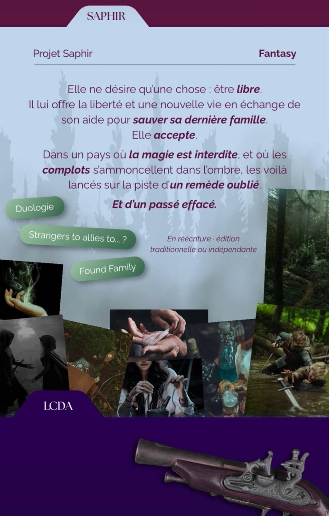Indice du projet Projet Saphir